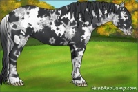 Horse Color:White Spotted Smoky Black Chinchilla Ice