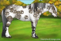 Horse Color:Plaid White Spotted Black