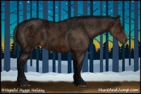 Horse Color:Brown Ice