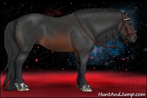 Horse Color:Brown  and Brown 