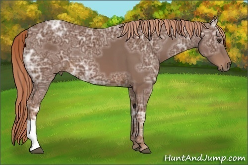 Horse Color:Chestnut Ice 