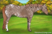 Horse Color:Chestnut Ice 