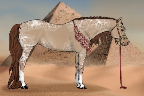 Horse Color:Red Dun Ice 