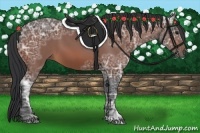 Horse Color:Bay Ice
