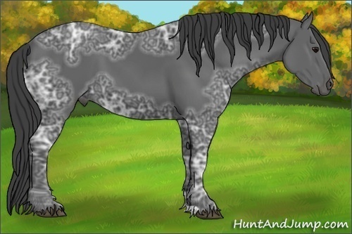 Horse Color:Smoky Black Ice 