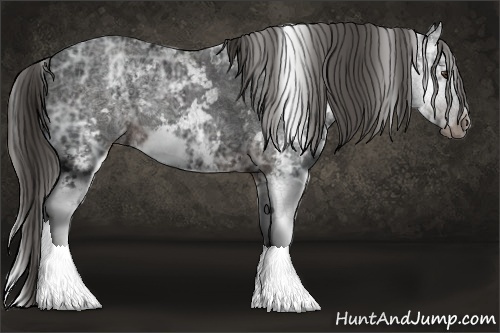 Horse Color:Liver Chestnut Ice Sabino 