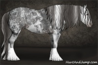 Horse Color:Liver Chestnut Ice Sabino 