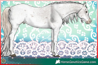 Horse Color:Chocolate Palomino Ice Sabino 