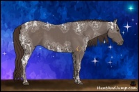 Horse Color:Liver Chestnut Ice 