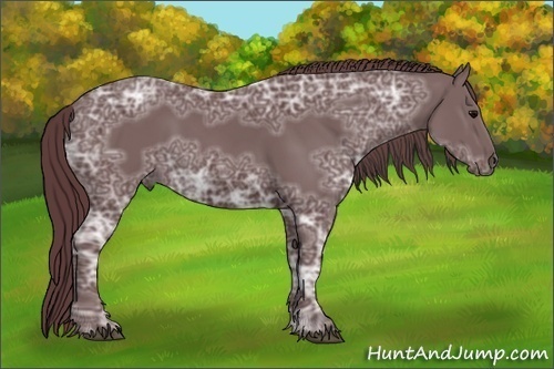 Horse Color:Chocolate Black Ice