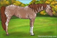 Horse Color:Chestnut Ice 