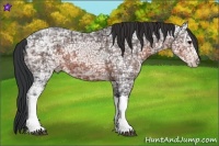 Horse Color:Brown Ice 