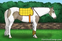 Horse Color:Silver Grullo Sabino Tobiano 