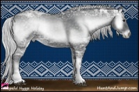 Horse Color:Silver Blue Onyx Chinchilla Ice 