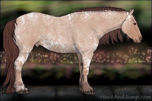Horse Color:Chocolate Buckskin Ice Roan 