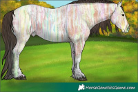 Horse Color:Bay Ice 