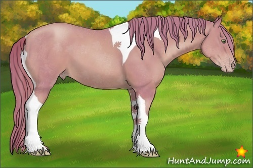 Horse Color:Watercolor Gold Champagne Sabino Tobiano 