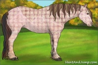 Horse Color:Plaid  Bay Ice 