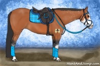 Horse Color:Bay Sabino 