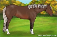 Horse Color:Silver Brown 