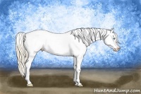 Horse Color:Perlino Sabino Blanket