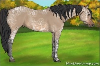 Horse Color:Bay Ice Roan Dun 