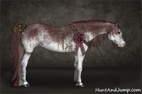 Horse Color:White Spotted Chocolate Brown  and White Spotted Chocolate Brown 