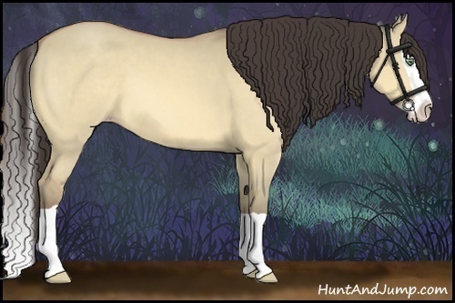 Horse Color:Amber Champagne Dun Splash