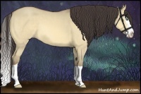 Horse Color:Amber Champagne Dun Splash 