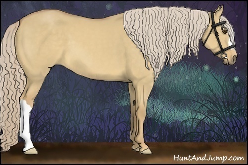Horse Color:Palomino Dun 