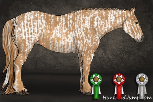 Horse Color:Gray White Spotted Black  Brindle