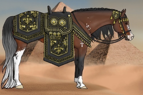 Horse Color:Bay Sabino 