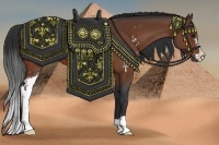 Horse Color:Bay Sabino 