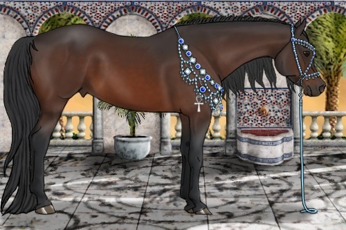 Horse Color:Bay Sabino 