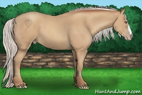 Horse Color:Silver Classic Champagne 