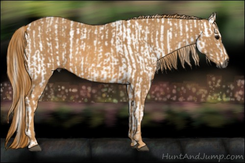 Horse Color:Gray Watercolor White Spotted Black Brindle