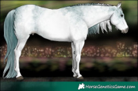 Horse Color:Gray Watercolor White Spotted Black Brindle