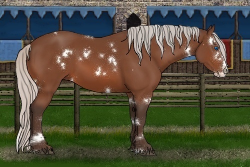Horse Color:White Spotted Silver Bay Splash