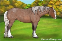 Horse Color:White Spotted Silver Bay Roan Splash 