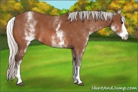Horse Color:White Spotted Silver Bay Splash