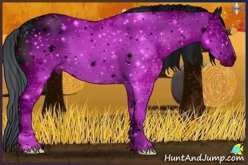 Horse Color:ERROR: UNKNOWN ANOMALY