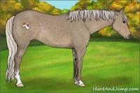 Horse Color:Silver Smoky Grullo Sabino