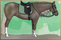 Horse Color:Silver Black 