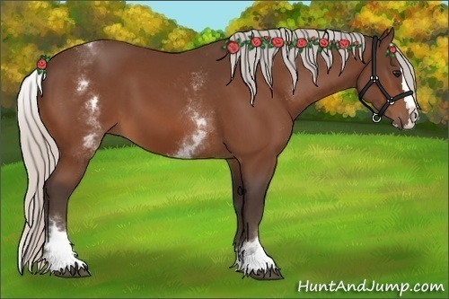 Horse Color:White Spotted Silver Bay Splash 