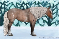 Horse Color:White Spotted Silver Bay Roan Splash 