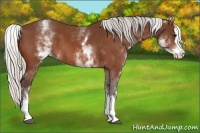 Horse Color:White Spotted Silver Bay Splash 