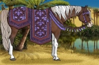 Horse Color:Silver Bay Splash Tobiano 