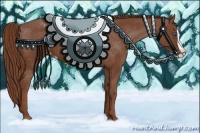 Horse Color:Chestnut Splash Appaloosa 