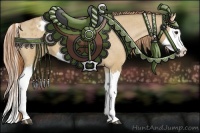 Horse Color:Red Dun Splash Appaloosa 