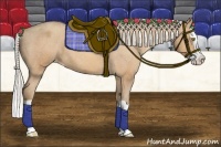 Horse Color:Silver Amber Champagne Splash Appaloosa 